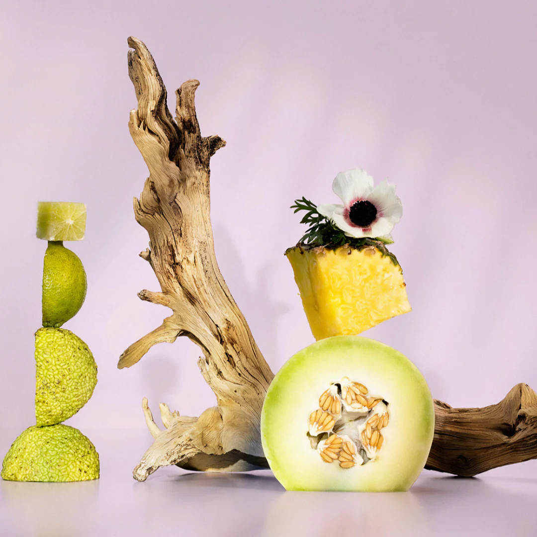 Coco Blush Format Bundle - Image 7