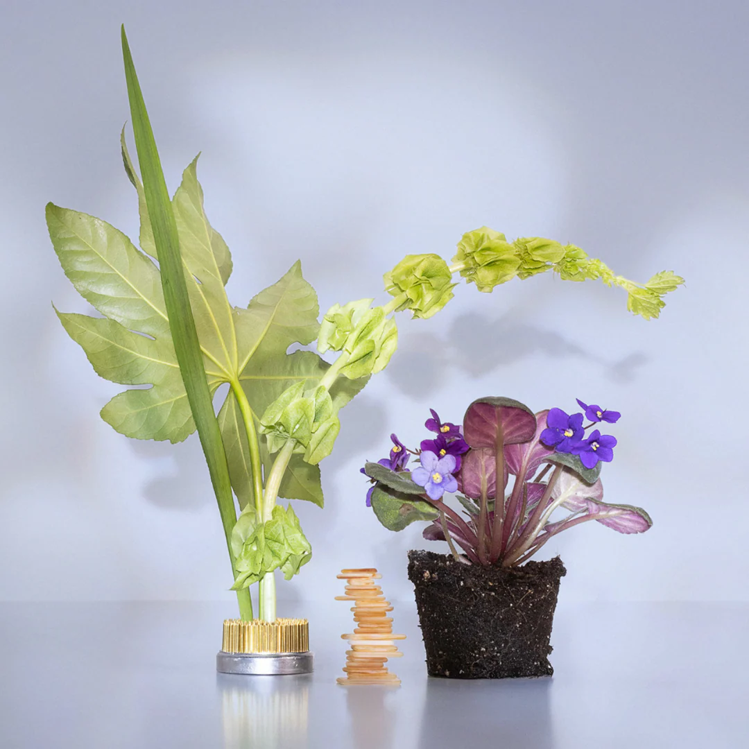 Magnolia Violet Eau de Parfum Travel Spray - Image 5